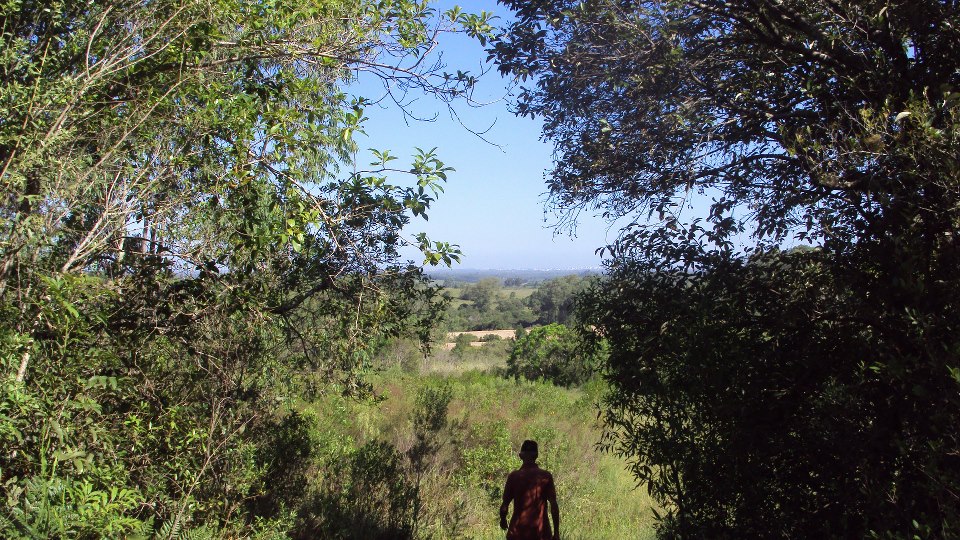 A GAITINHA